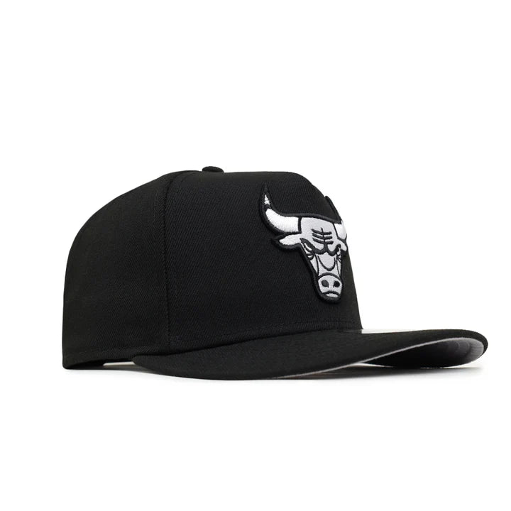 MENS SNAPBACK